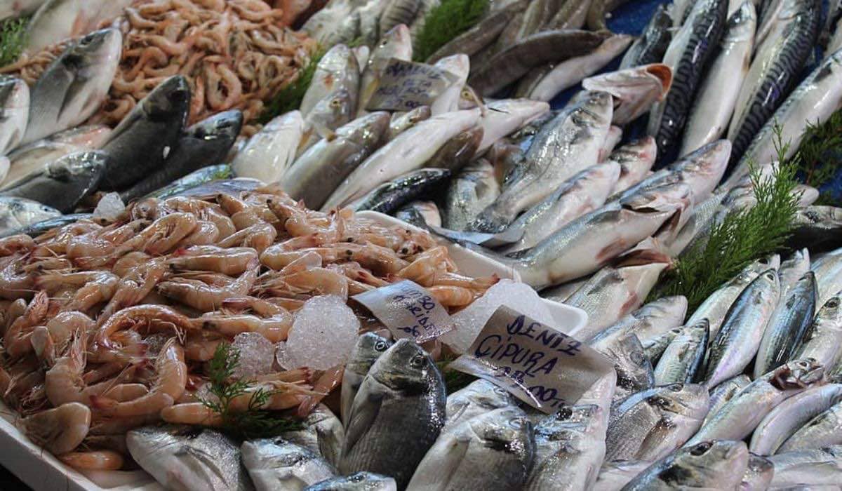 Los microplásticos pueden llegar a nuestra cocina a través de los pescados y mariscos: estudio