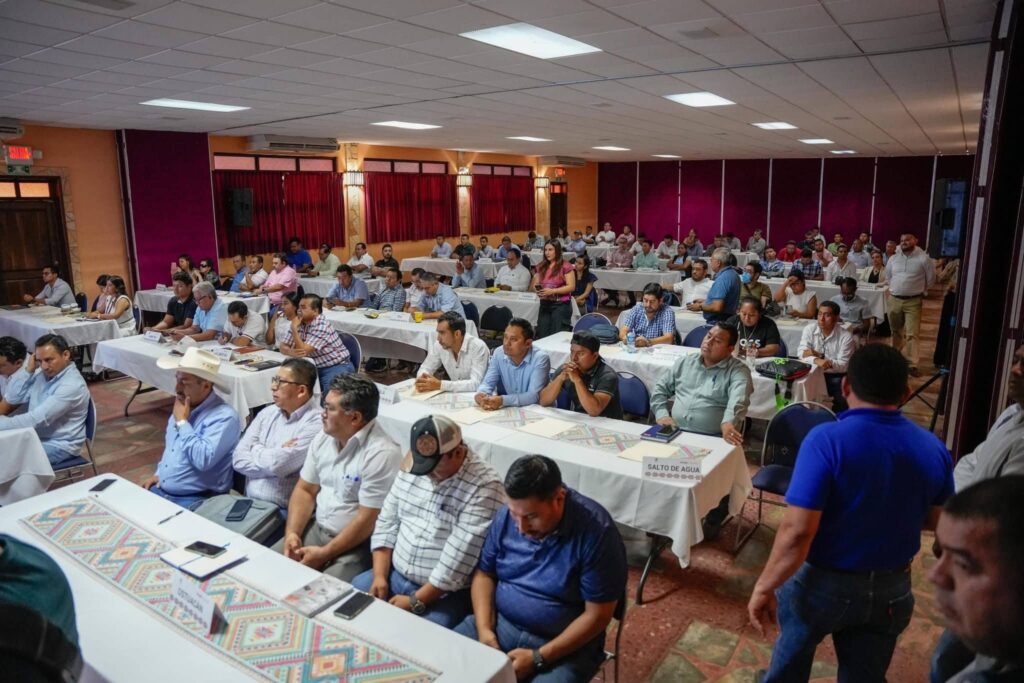 ASE Y MARCELA CASTILLO PLANES DESARROLLO MUNICIPALES 1