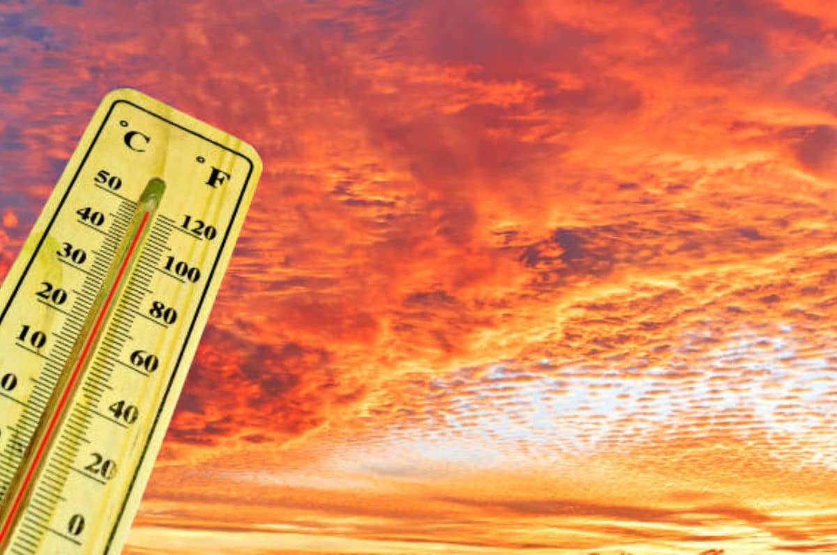 La mitad de las personas del mundo vivieron 30 días extras de calor extremo por el cambio climático: estudio