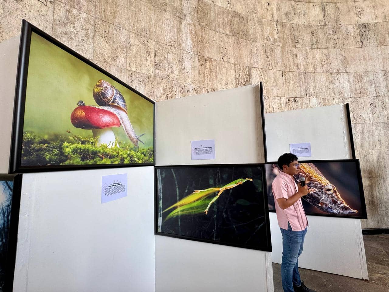 Inaugura Congreso exposición: “Chiapas a través de la retina”