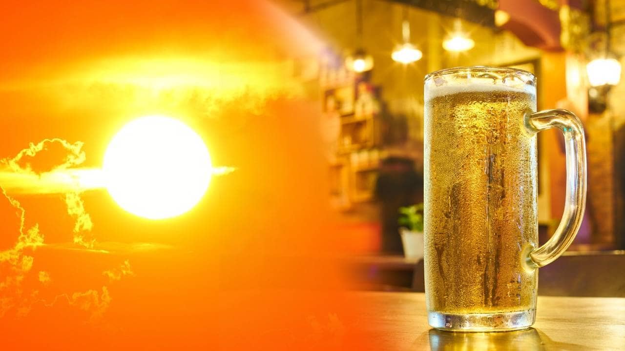 Por qué es malo tomar mucha cerveza en temporada de calor