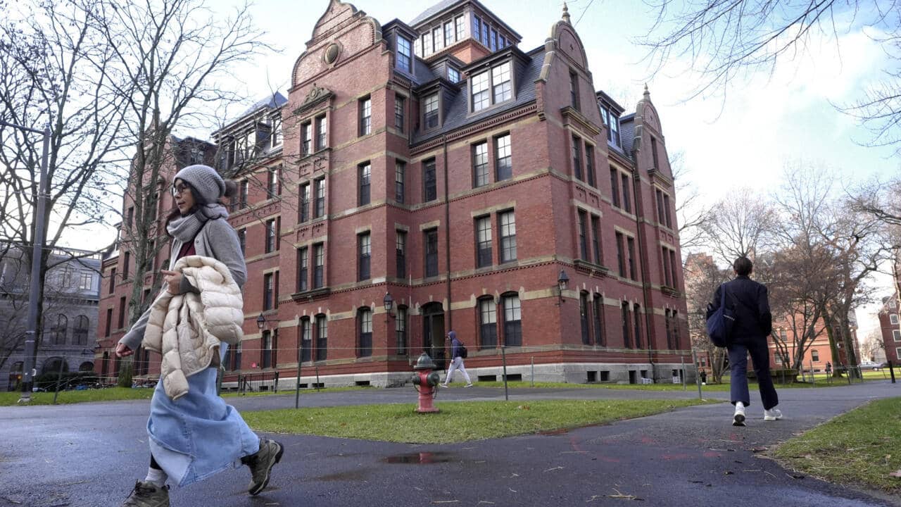 Trump exige a Harvard transparencia sobre estudiantes extranjeros; suspende visados por negar información