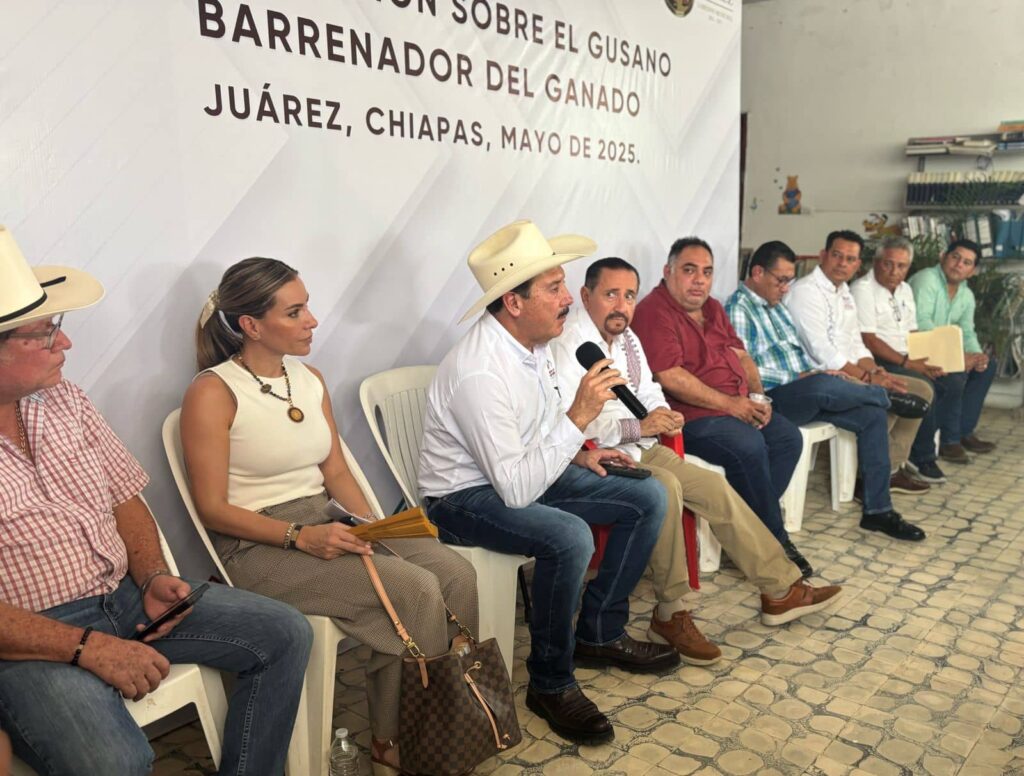 FOTOS SAGyP GUSANO BARRENADOR 3 1