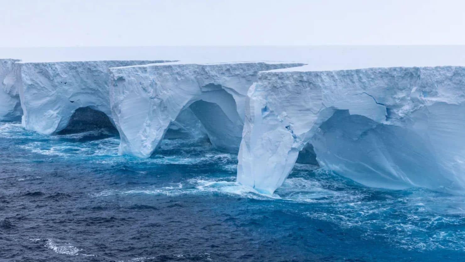 El iceberg más grande del mundo se está desintegrando junto a un refugio de pingüinos