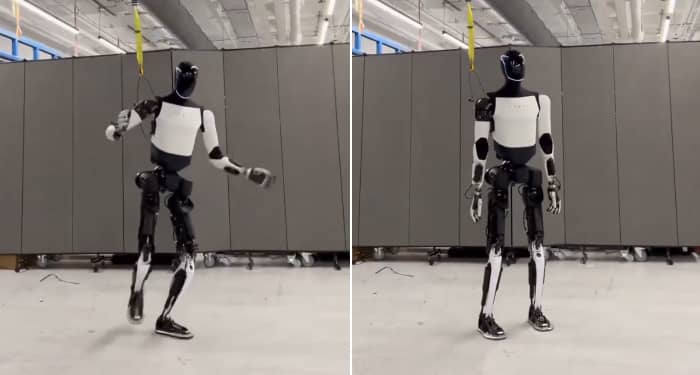Elon Musk presume avances del Robot Optimus de Tesla; empresa pretende construir 5 mil para lo que resta del 2025