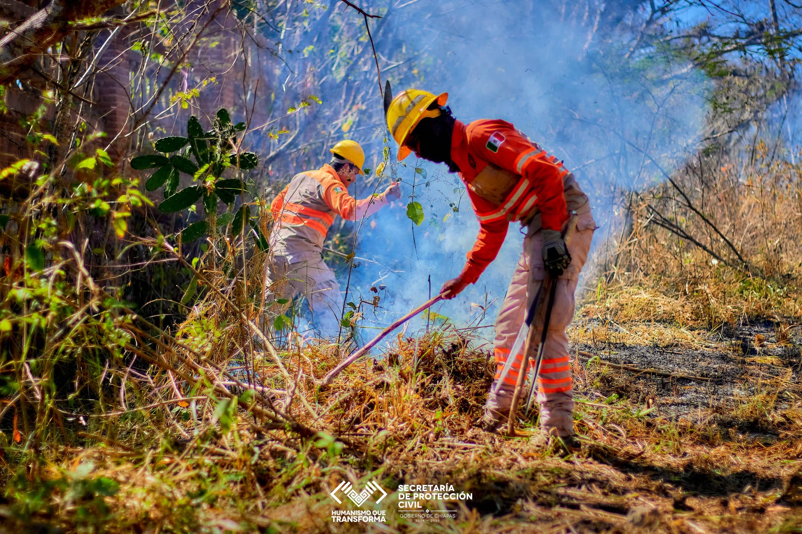Chiapas, fuera de las 10 entidades con mayor superficie afectada por incendios forestales en 2025