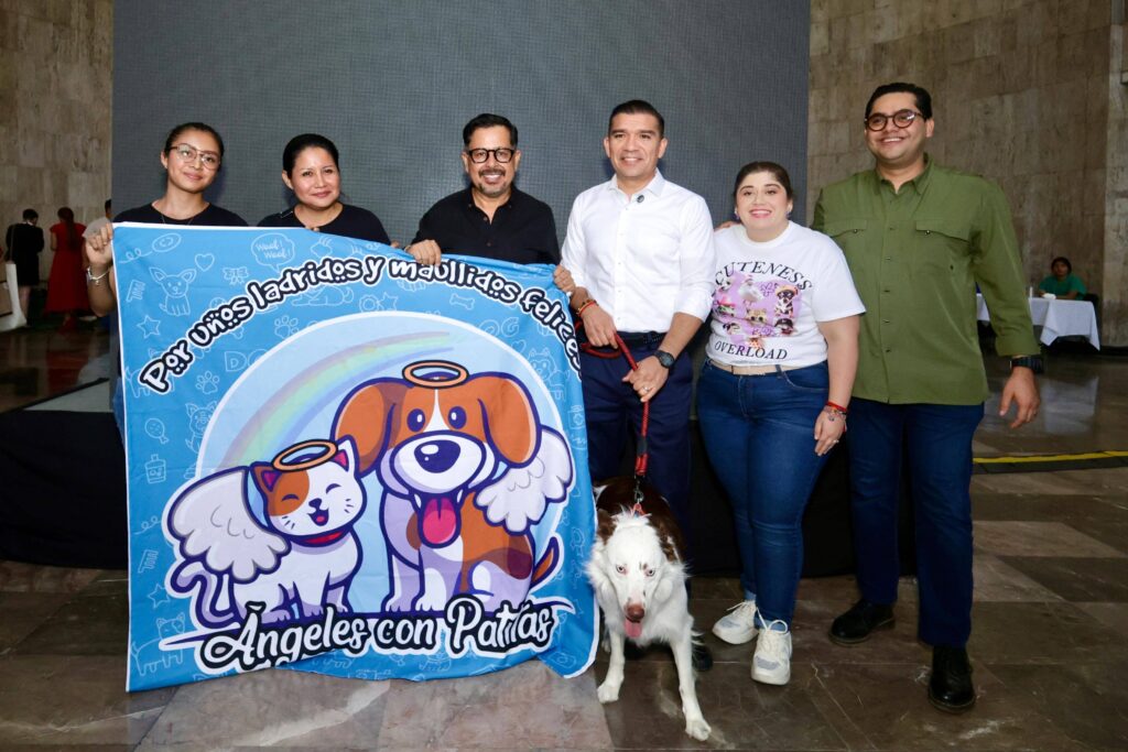CONGRESO MALTRATO ANIMAL 5 ANOS 2 1