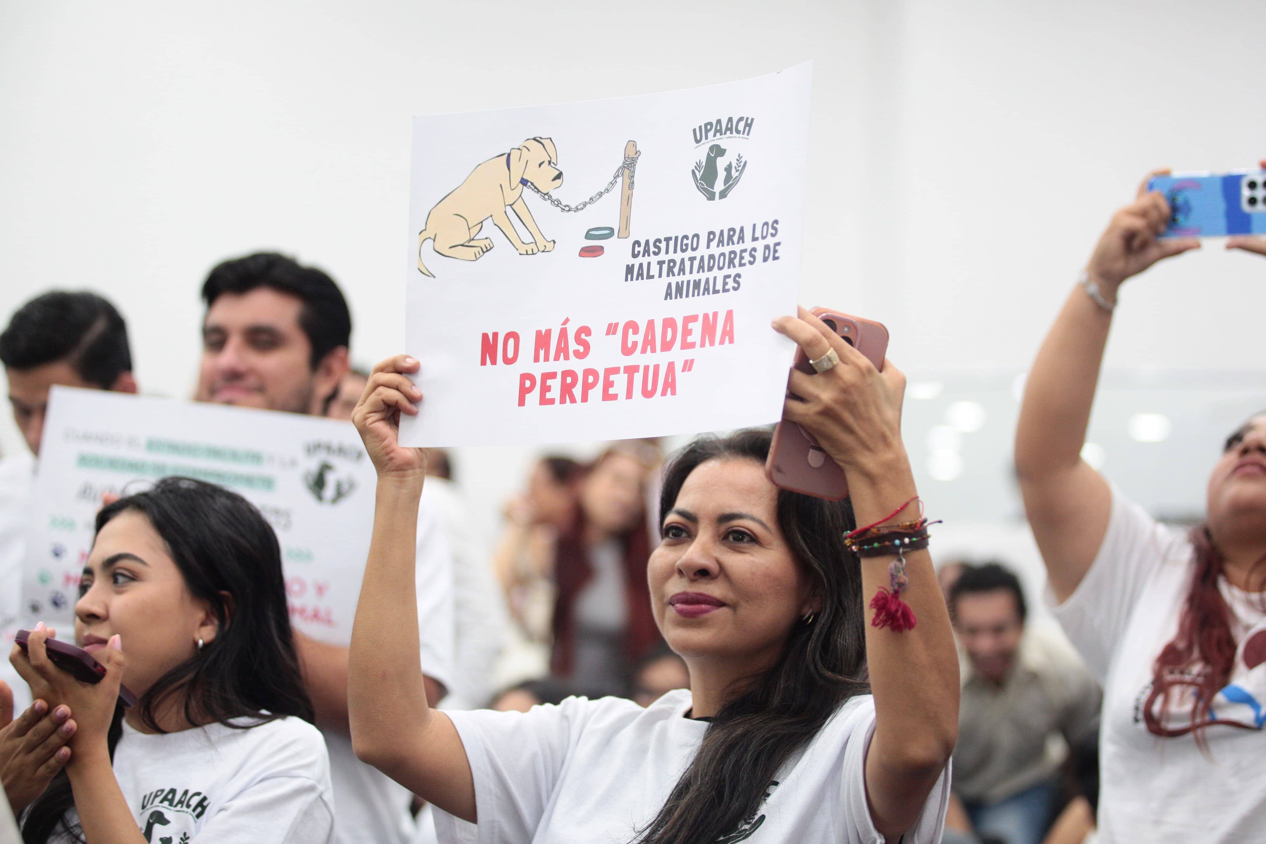 CONGRESO MALTRATO ANIMAL 5 ANOS 7 1