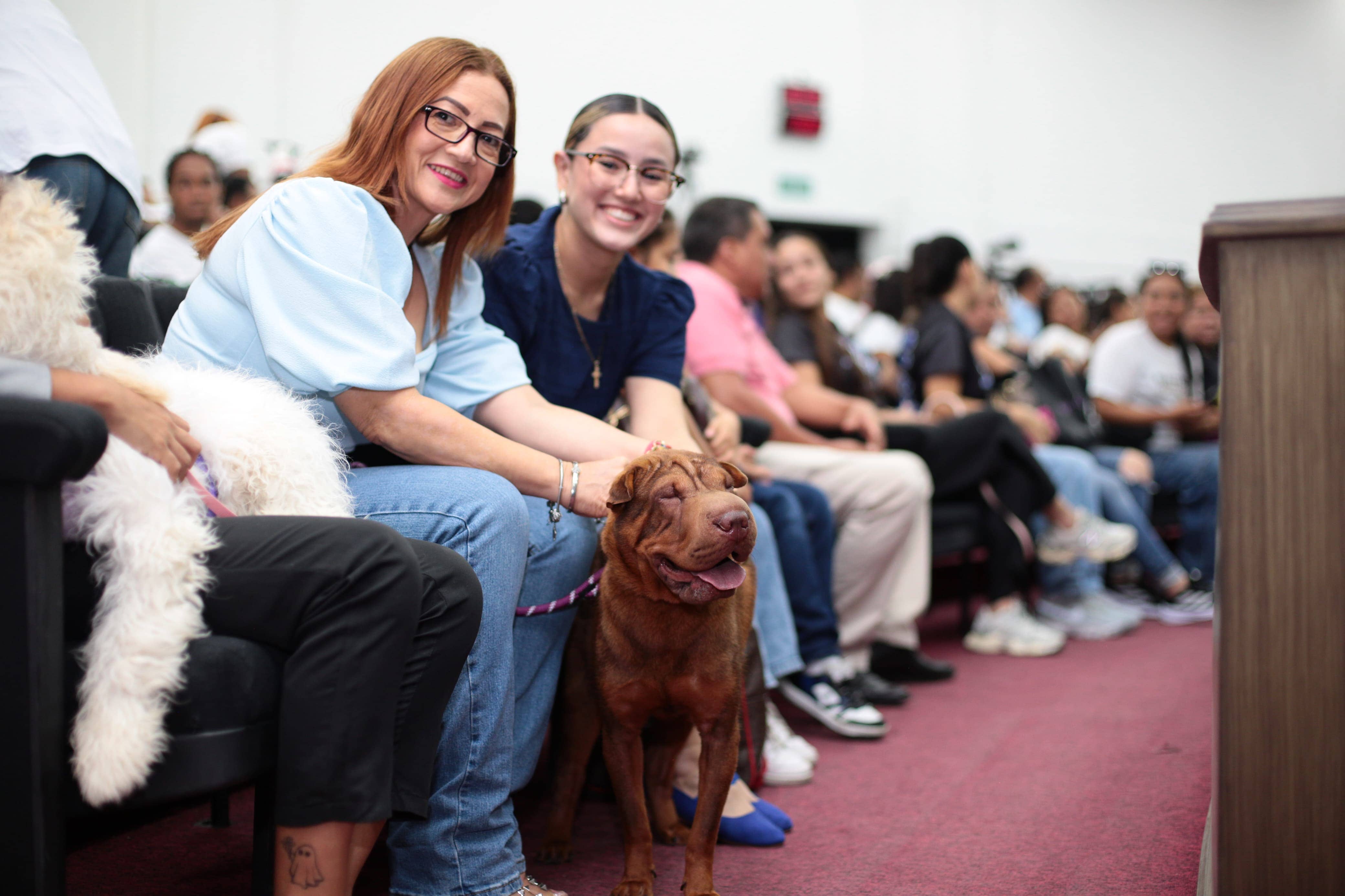 CONGRESO MALTRATO ANIMAL 5 ANOS 8 1