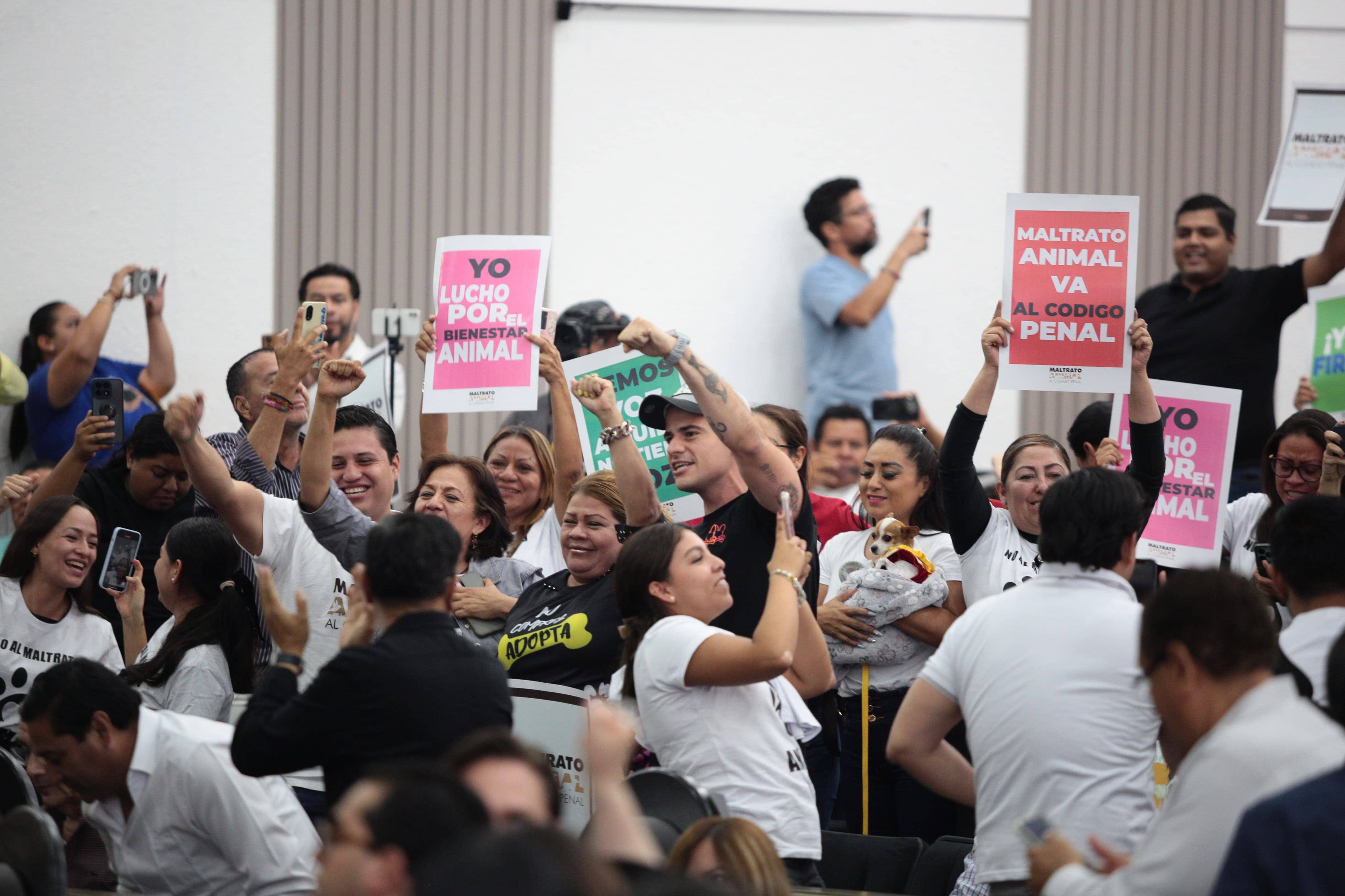 CONGRESO MALTRATO ANIMAL 5 ANOS 9 1