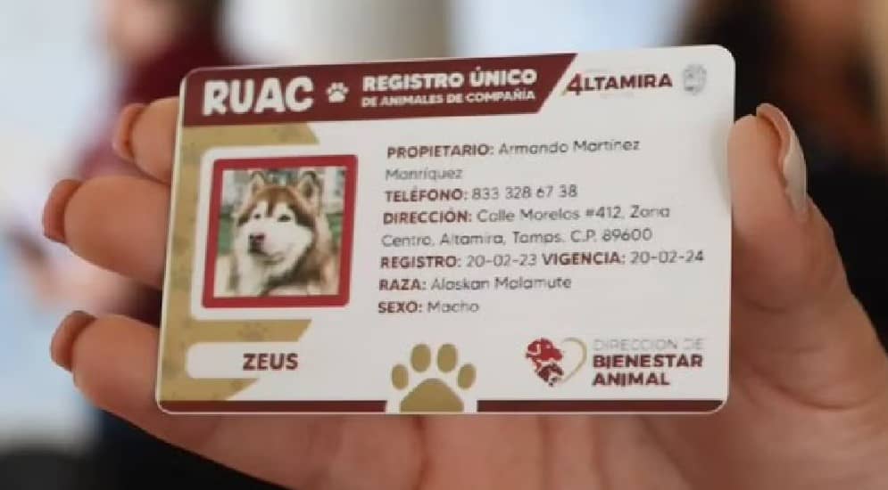 Falso que el RUAC o CURP para tu mascota te genere multa; en estos casos sí aplica una sanción
