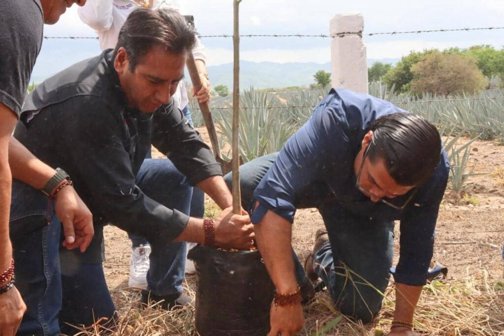 ERA REFORESTACION CHIAPA DE CORZO 1 1