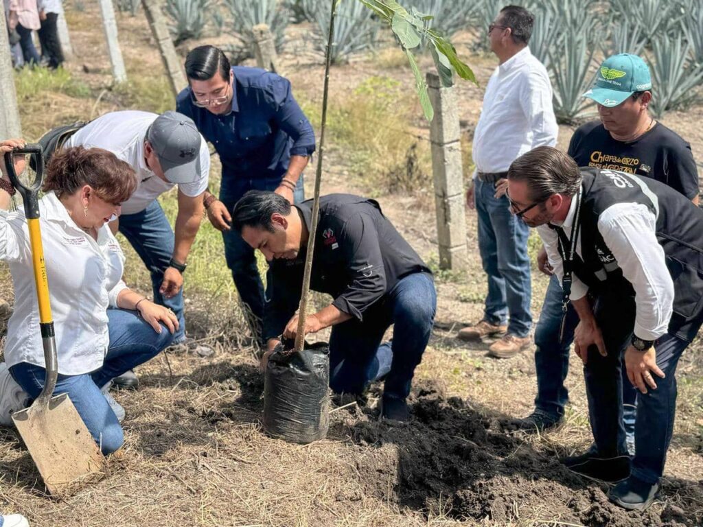 ERA REFORESTACION CHIAPA DE CORZO 3 1