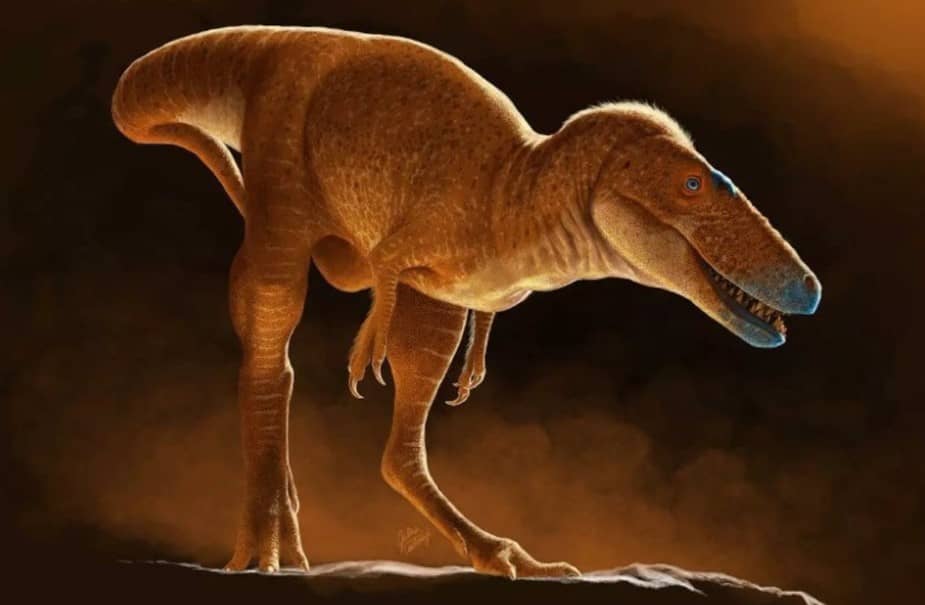 Conoce al pariente ágil y veloz del T-Rex; ¡era del tamaño de un caballo!