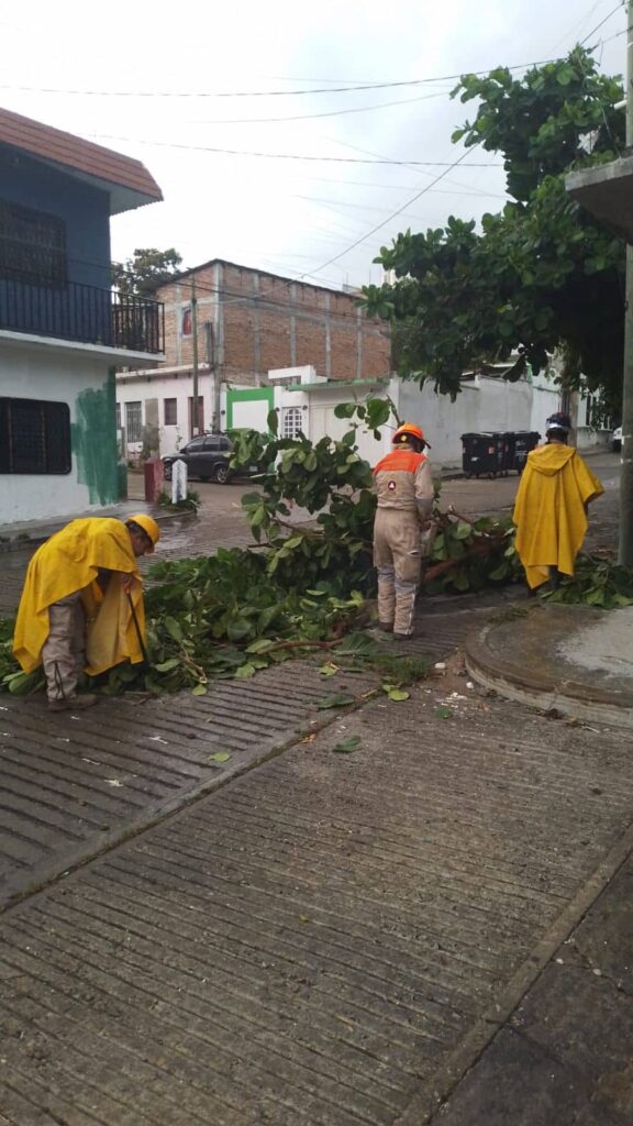LLUVIAS TUXTLA 1