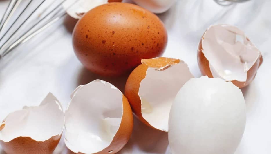 Los beneficios y los riesgos de comer cáscaras de huevo: ve cómo prepara este suplemento en casa