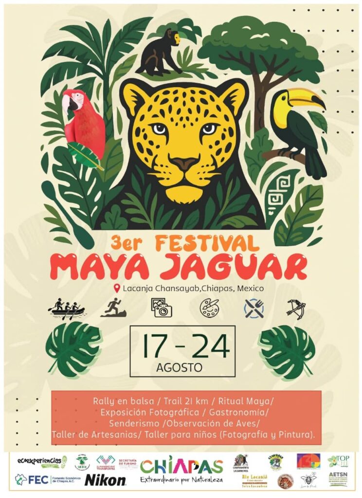CE FESTIVAL MAYA JAGUAR 2 1