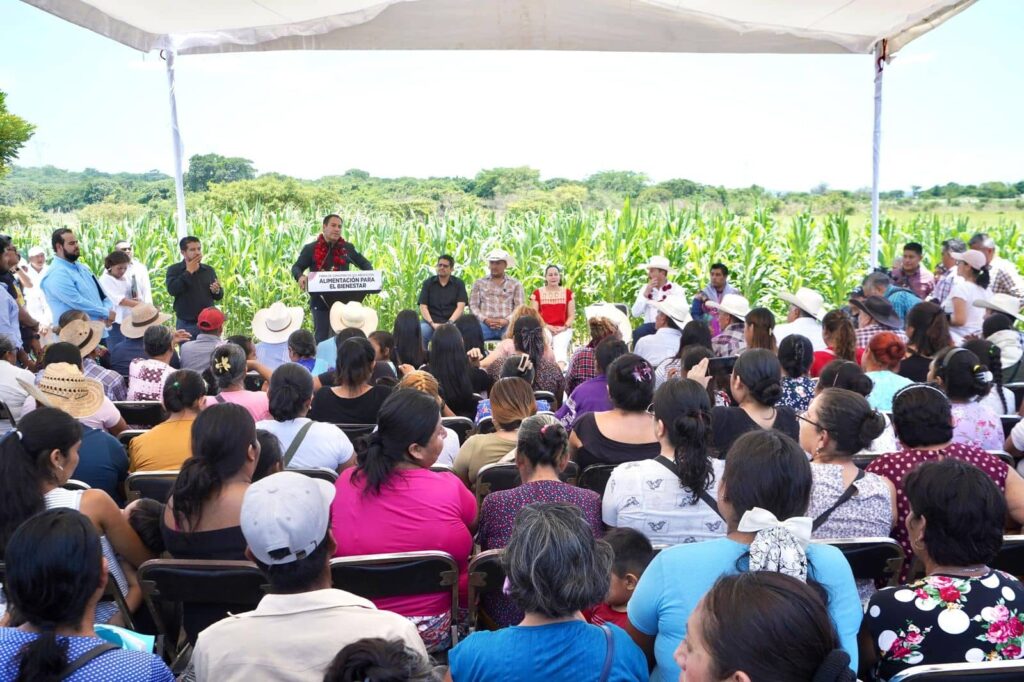 ERA MAIZ ALIMENTACION BIENESTAR 1
