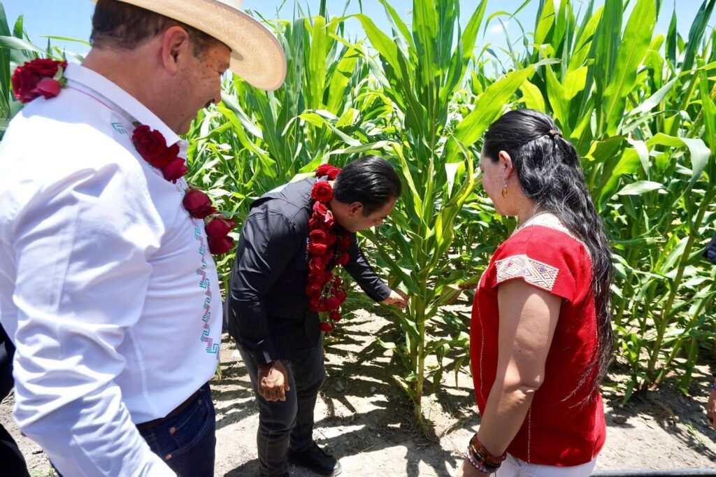 ERA MAIZ ALIMENTACION BIENESTAR1 1