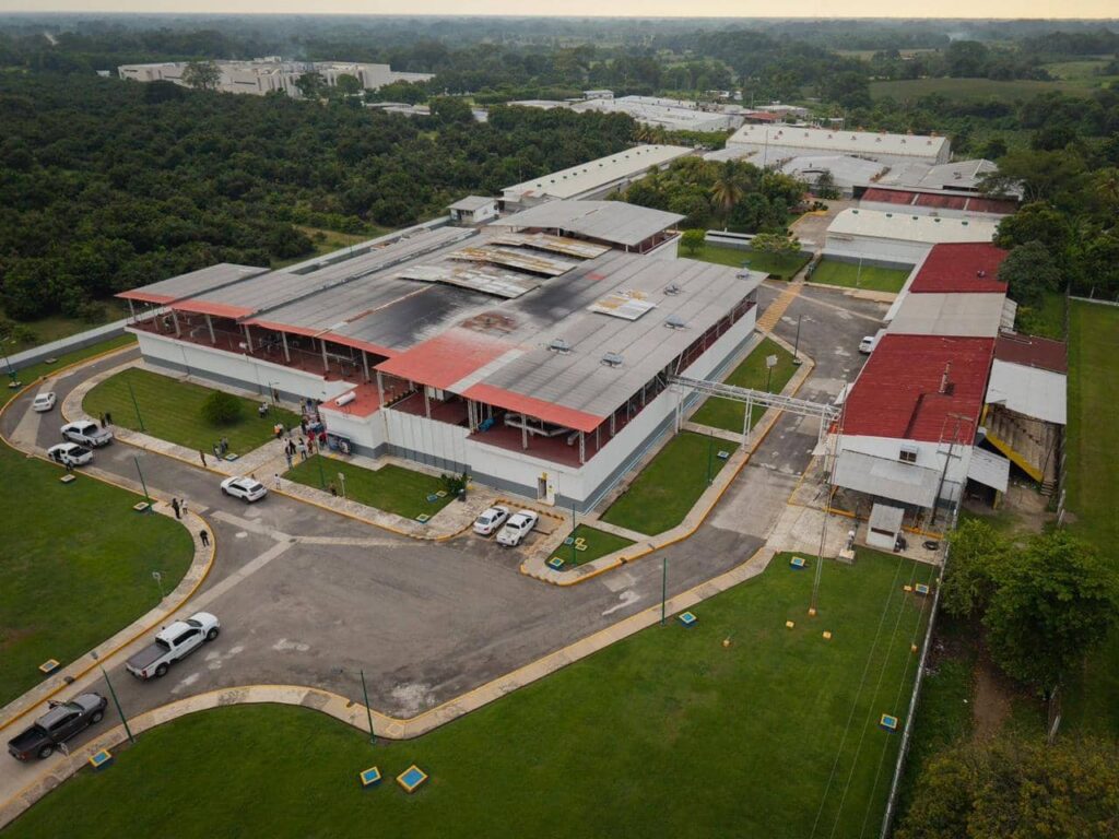 ERA PLANTA DE MOSCAS 1