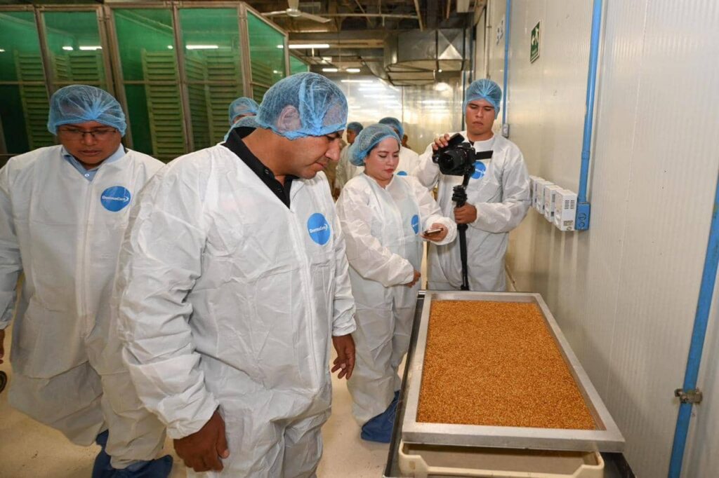 ERA PLANTA DE MOSCAS1 1