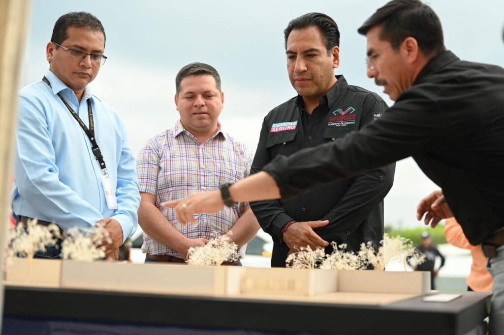 ERA PLANTA DE MOSCAS2 1