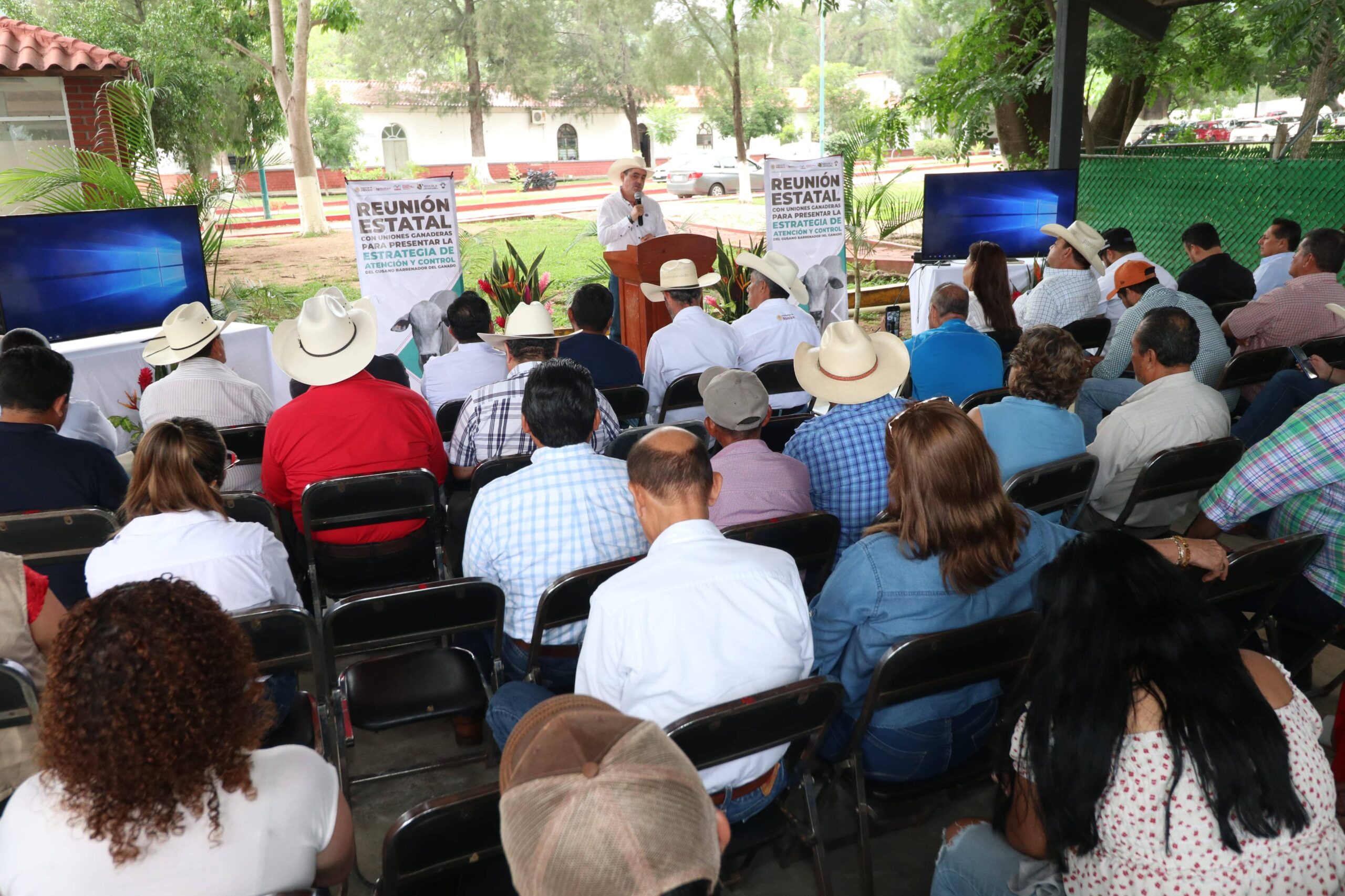 Mantiene Chiapas estrategia coordinada con la Federación, contra el gusano barrenador