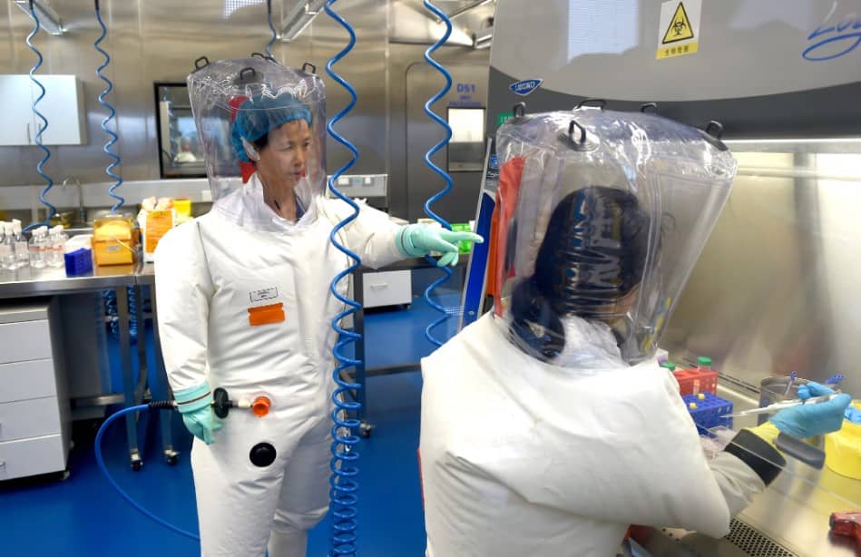 Detectan en China nuevos virus mortales en murciélagos con potencial pandémico