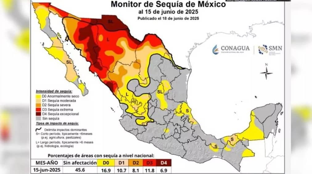 MONITOR DE SEGUIA MEXICO 15 JUNIO 1