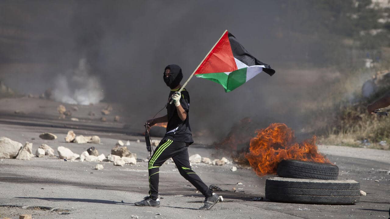 15 países occidentales llaman a reconocer Estado palestino