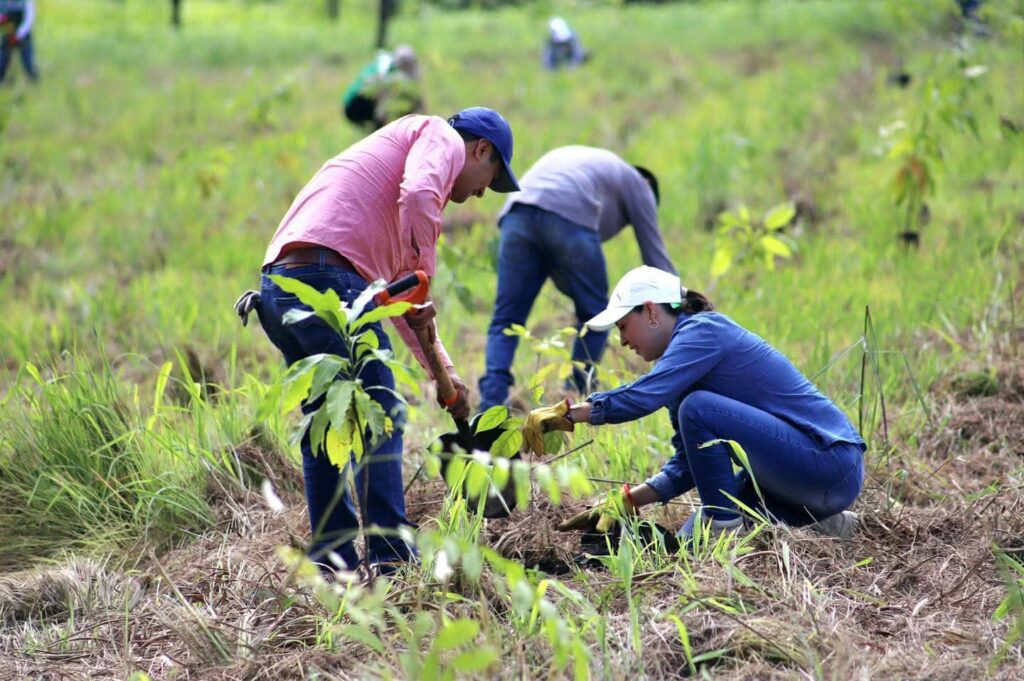 AT PARQUE GUANACASTLE 1
