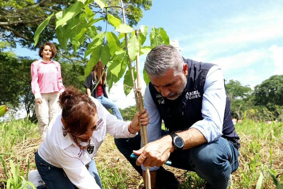 Inicia Angel Torres jornada de reforestación en el Parque Guanacastle