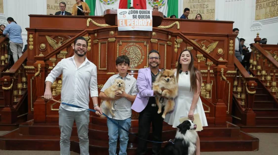 Aprueban Ley ¿Con quién se queda el perro?, el divorcio no impedirá ver a tu lomito