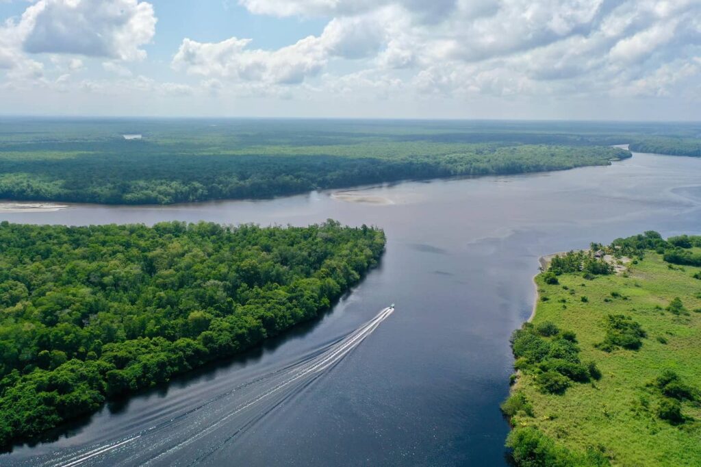 EL BALLENATO ERA ACAPETAHUA 1