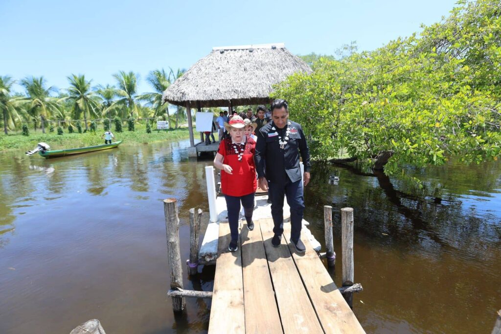 EL BALLENATO ERA ACAPETAHUA2 1