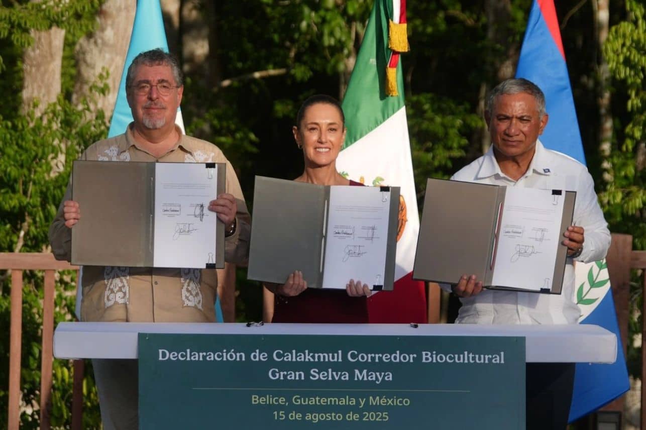 México, Guatemala y Belice anuncian el corredor biocultural más grande del mundo en su tipo: Corredor Biocultural Selva Maya