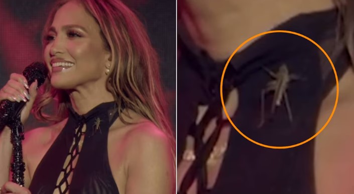 Jennifer Lopez sufre aterrador momento durante concierto ¿Qué fue lo que le ocurrió?