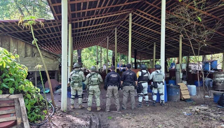 Decomisa FGR casi una tonelada de metanfetamina en Palenque, Chiapas; aseguran vehículos y un arma