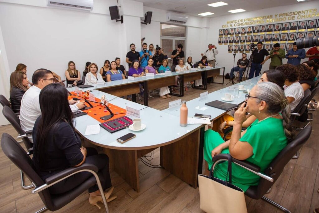 CONGRESO Y COLECTIVOS FEMINISTAS1 1