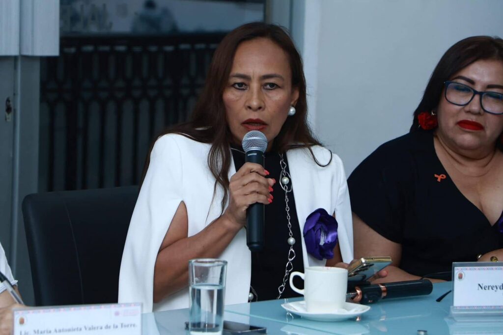 CONGRESO Y COLECTIVOS FEMINISTAS5 1