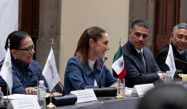 En 51° Sesión Ordinaria del Consejo Nacional de Seguridad Pública se acordó armonización de las leyes de Seguridad y Búsqueda