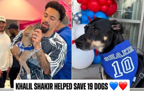 El receptor de los Bills y su esposa han mostrado un compromiso constante con el bienestar animal, colaborando en rescates y adopciones, incluyendo una reciente misión en mayo donde salvaron a 26 cachorros.