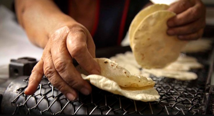 ¿Cuántas tortillas comer al día? NutrIMSS lo revela