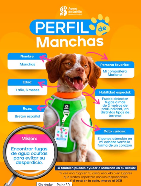perro manchas