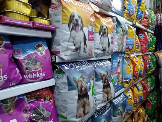 Adiós al IVA en croquetas y medicinas para tu lomito? Estos impuestos serían eliminados