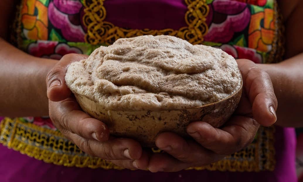 Bupu: bebida ancestral de Oaxaca símbolo de vida en el pueblo zapoteca
