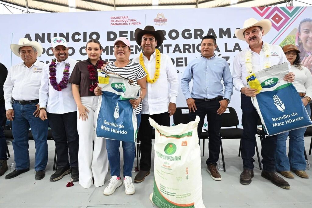 ERA MAIZ VILLAFLORES Y PARRAL 1