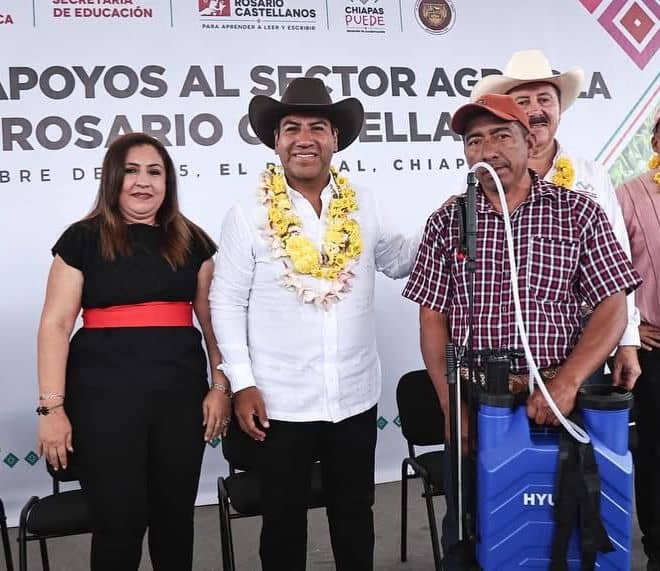 FOTO SEGUNDA ERA MAIZ VILLAFLORES Y PARRAL 1