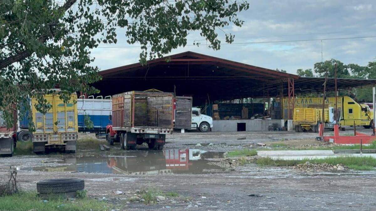 Asesinan a comerciante de naranja en Álamo Temapache, Veracruz