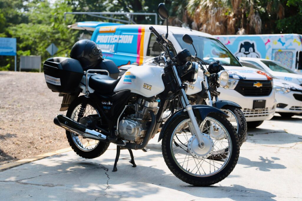 AT PROTECCION ANIMAL3 2